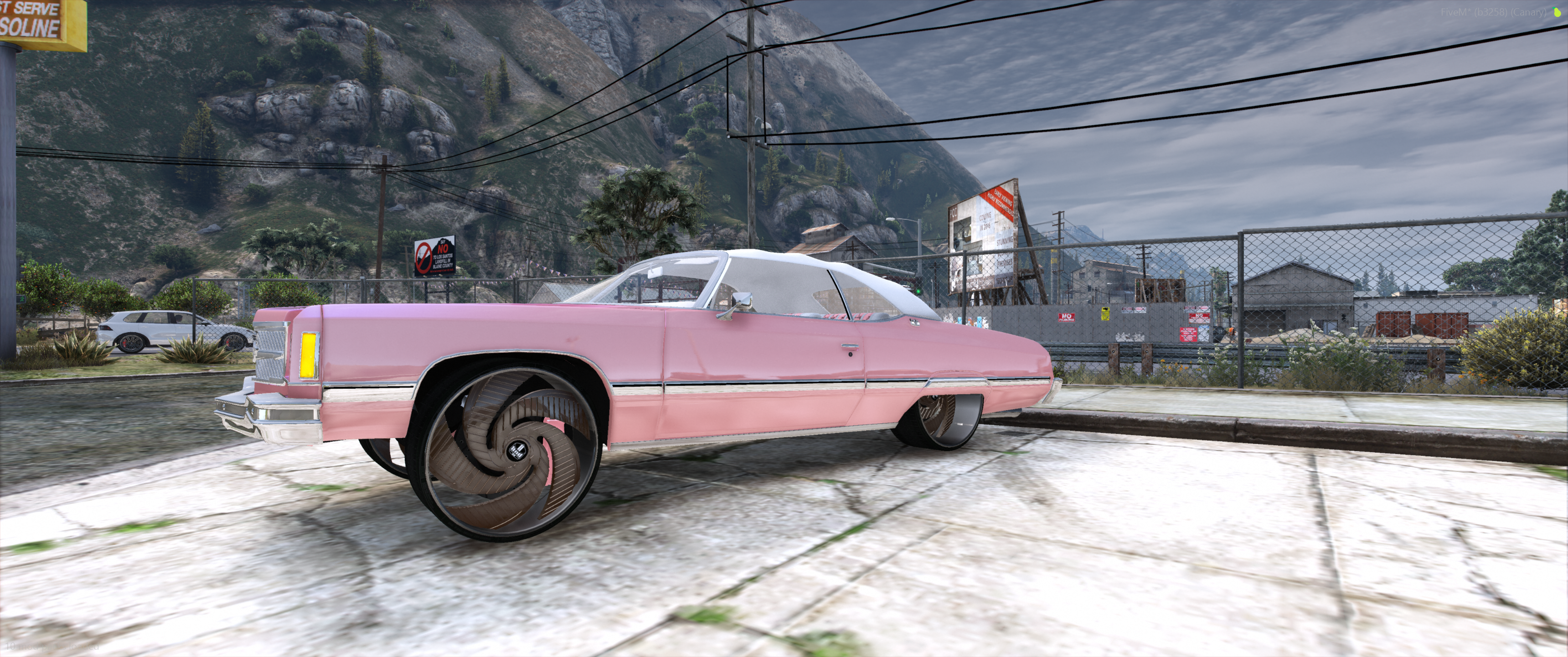 1974 CHEVY caprice Vert