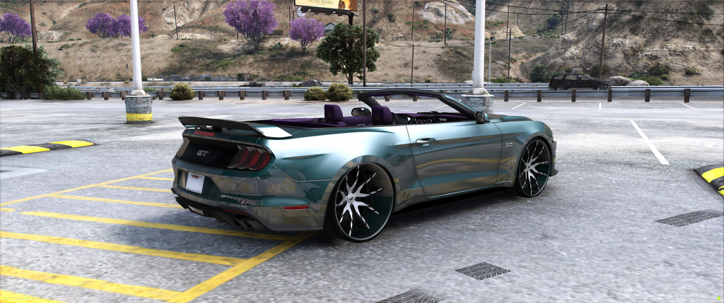 2019 Ford Mustang GT 5.0