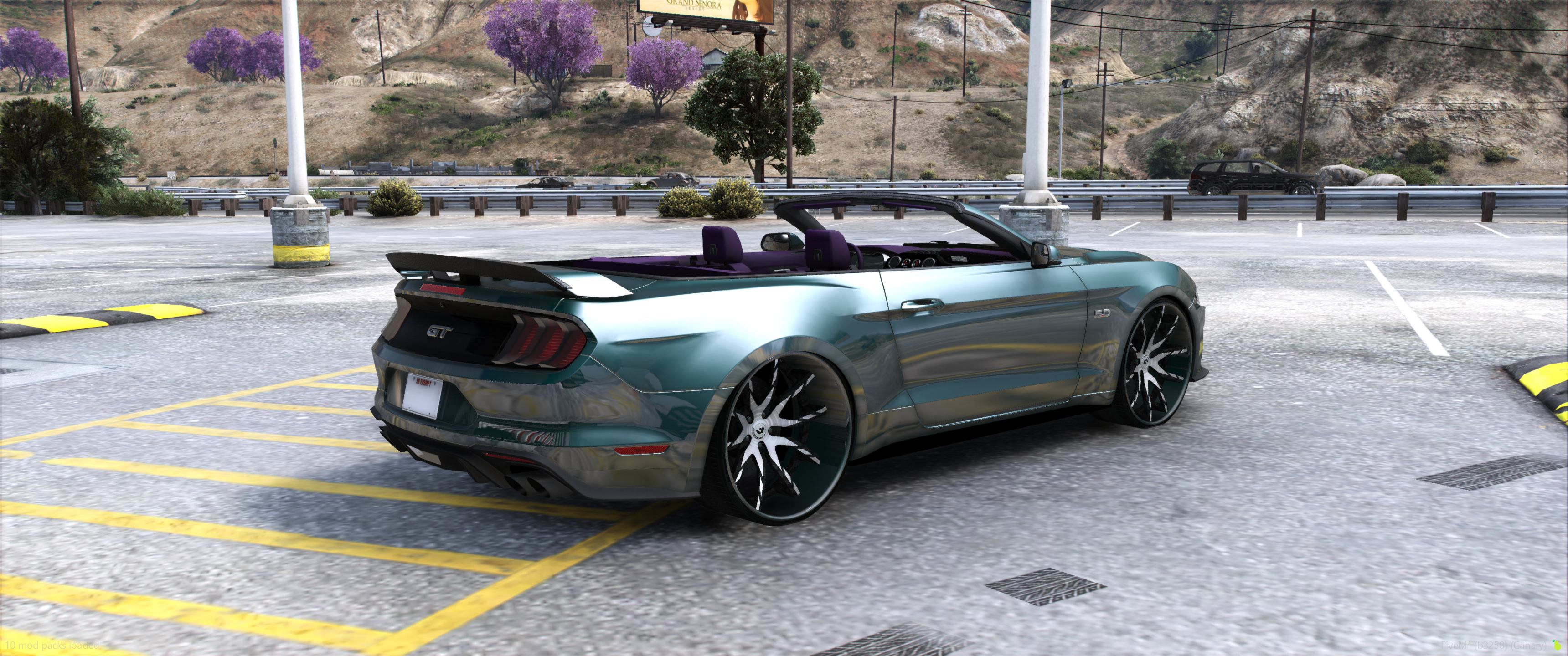 2019 Ford Mustang GT 5.0